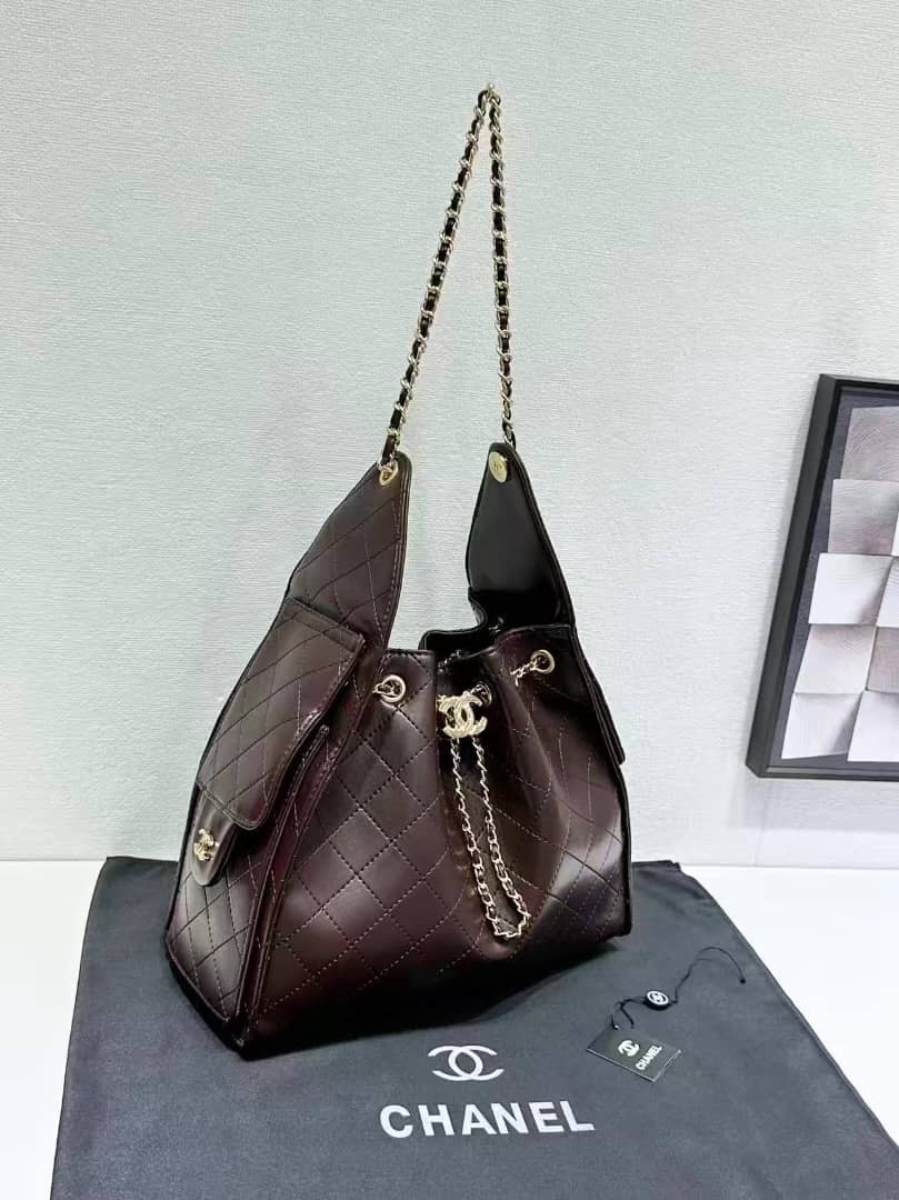 Chanel 25 hobo bag